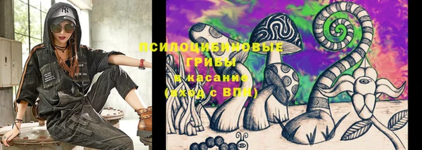 экстази Богородск