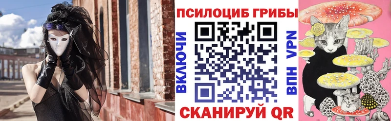 Псилоцибиновые грибы Psilocybine cubensis  закладка  Борзя 