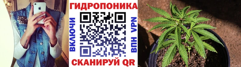 наркотики  Борзя  маркетплейс как зайти  Шишки марихуана MAZAR  блэк спрут зеркало 